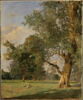 Vue du Prater à Vienne, avec arbre à droite, image 3/3