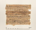 papyrus documentaire, image 1/4