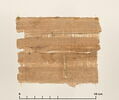 papyrus documentaire, image 2/4