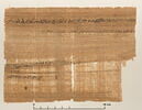 papyrus documentaire, image 2/4