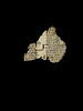 feuillet de codex ; fragment, image 2/3