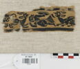 clavus ; fragment, image 1/2