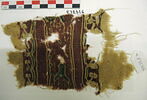 clavus ; fragment, image 2/2