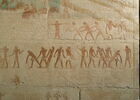 Mastaba d'Akhethétep, image 52/66