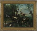 Oiseaux dans un paysage, image 2/3