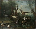 Oiseaux dans un paysage, image 1/3