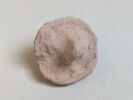 toupie  ; bouchon de vase, image 2/3