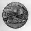 poisson, image 1/2