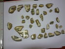 incrustation, image 3/3