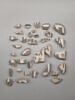 incrustation, image 1/3