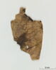 feuillet de codex ; fragment, image 2/4