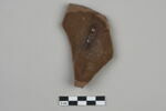 ostracon, image 2/3