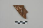 ostracon, image 2/3
