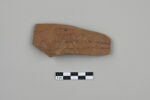 ostracon, image 1/3