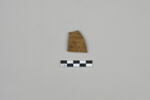 ostracon, image 1/3