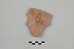 ostracon, image 2/3