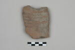 ostracon, image 1/3