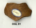 ostracon, image 3/3