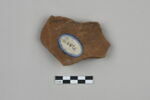 ostracon, image 1/3