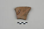 ostracon, image 2/4