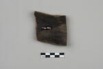 ostracon, image 2/4