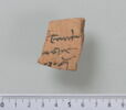 ostracon, image 1/2