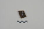 ostracon, image 2/4