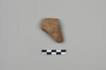 ostracon, image 1/4