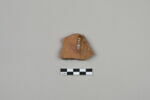 ostracon, image 2/4