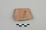 ostracon, image 2/4