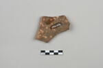 ostracon, image 2/4