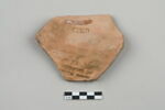 ostracon, image 2/4