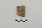 ostracon, image 1/3