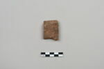 ostracon, image 1/3