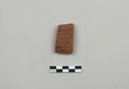ostracon, image 1/4