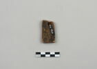 ostracon, image 2/4