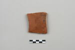 ostracon, image 1/3