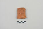 ostracon, image 1/3