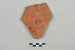 ostracon, image 2/4