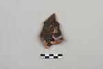 ostracon, image 2/3