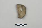 ostracon, image 2/3