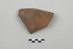 ostracon, image 1/4