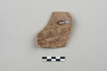 ostracon, image 2/4