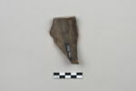 ostracon, image 2/3