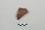 ostracon, image 1/4