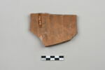 ostracon, image 2/4