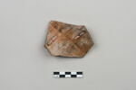 ostracon, image 2/4