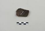 ostracon, image 2/3