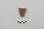 ostracon, image 1/4