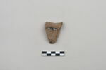 ostracon, image 2/4
